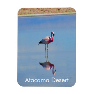 Imán Magnífico flexible del desierto Flamingo Atacama