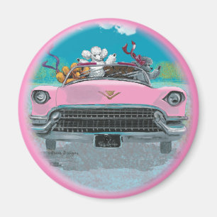 Imán Magnífico retro retro rosado