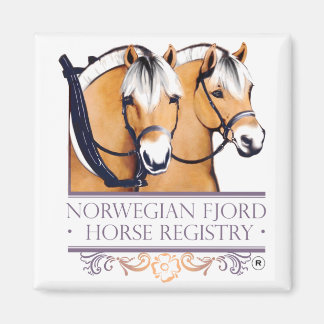 Imán Magníficos del logotipo de NFHR