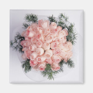 Imán Magníficos rosas rosas perfectos