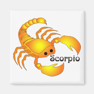 Imán Magníficos Scorpio