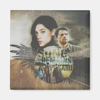 Imán Magnitud del SRS