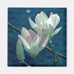 Imán Magnolia