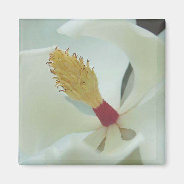 Imán Magnolia1 (Frente)