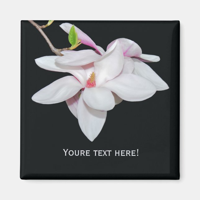 Imán Magnolia blanca (Frente)