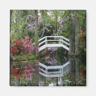 Imán Magnolia Gardens, S.C.