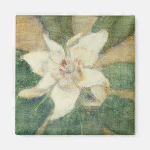 Imán Magnolia grandiflora