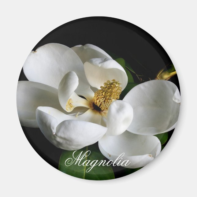 Imán Magnolia Magnet (Frente)