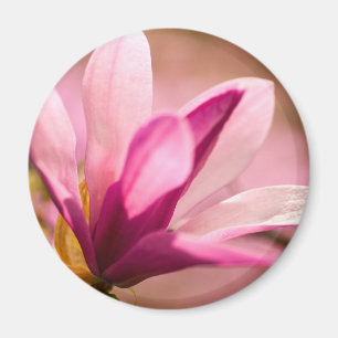 Imán Magnolia rosa