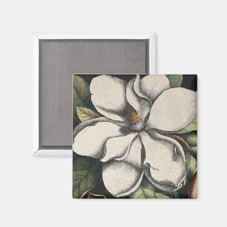 Imán Magnolia Vintage