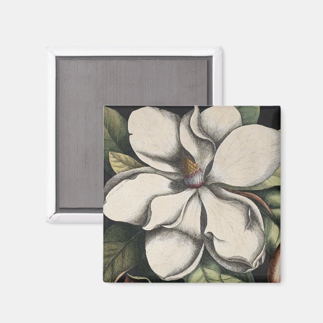 Imán Magnolia Vintage  (Anverso/Reverso)