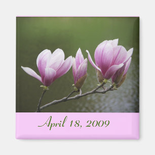 Imán Magnolias, el 18 de abril de 2009