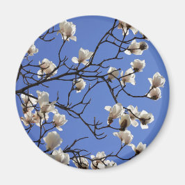 Imán Magnolias florecientes