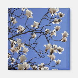 Imán Magnolias florecientes