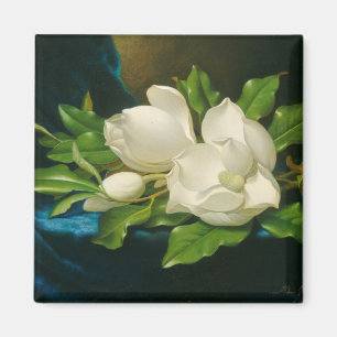 Imán Magnolias gigantes en un paño azul del terciopelo