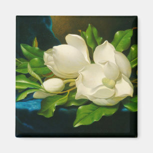 Imán Magnolias gigantes sobre una tela de terciopelo az