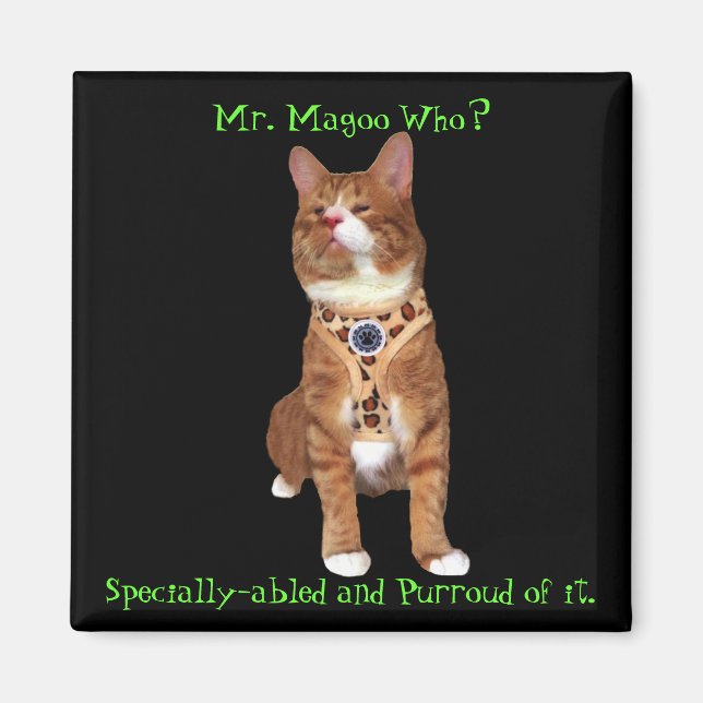 Imán Magoo Magnet con capacidades especiales (Frente)