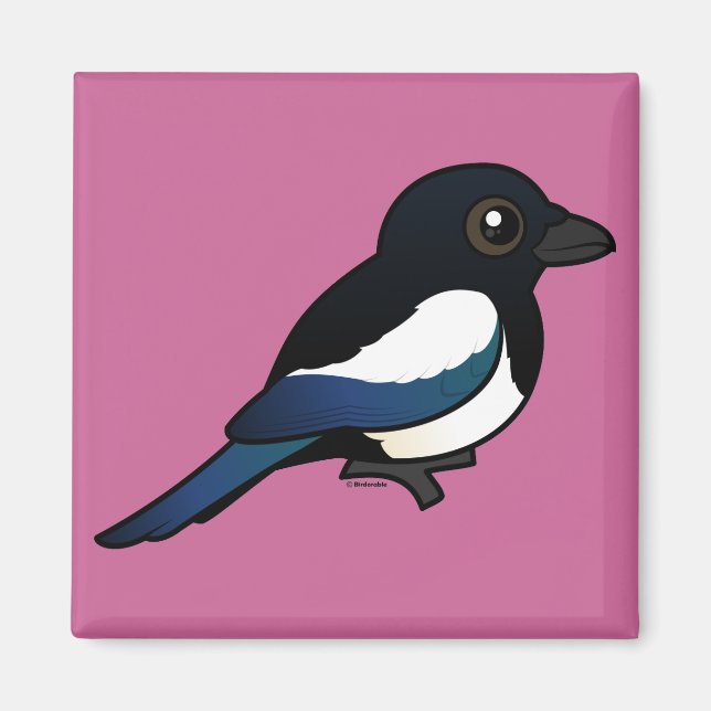 Imán Magpie de bollo (Frente)