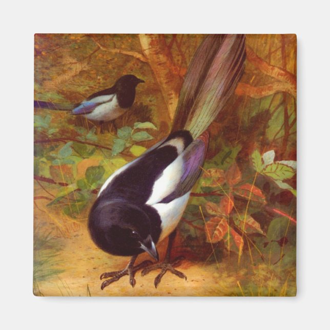 Imán Magpies (Frente)