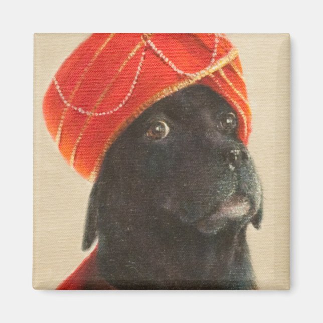 Imán Maharajá reacio 2010 (Frente)