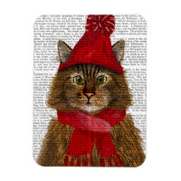Maine Coon Cat