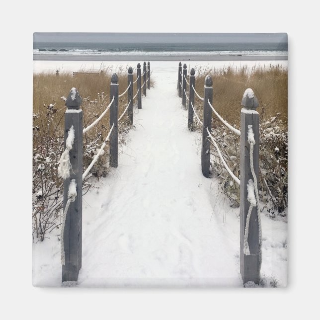 Imán maine de playa de huerta antigua (Frente)