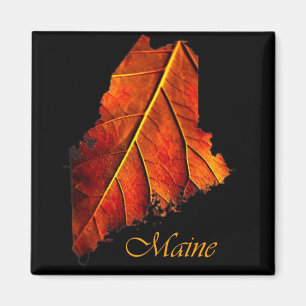 Imán Maine Gift Magnet Souvenir