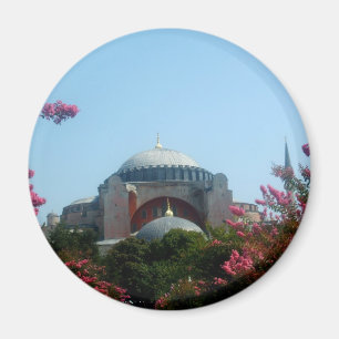 Imán majestuoso de la mezquita