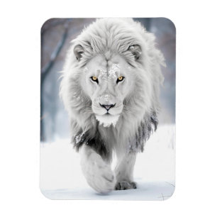 Imán Majestuoso León Blanco en Diseño de País de las Ma