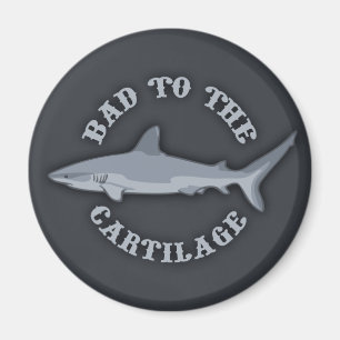 Imán Mal para el cartílago