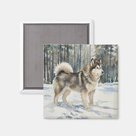 Imán Malamute de Alaska