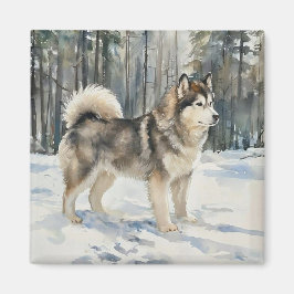Imán Malamute de Alaska