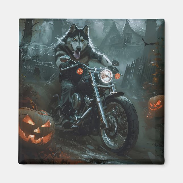 Imán Malamute de Alaska montando motocicleta Halloween  (Frente)