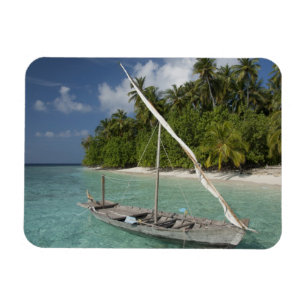 Imán Maldivas, atolón de machos del norte, isla de Kud