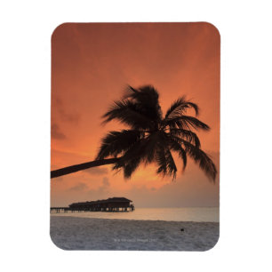 Imán Maldivas, atolón de Meemu, isla de Medhufushi,