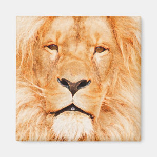 IMÁN MALE LION