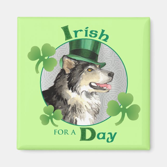 Imán Malemute del Día de San Patricio (Frente)