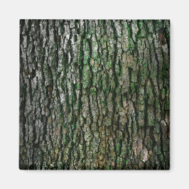 Imán Maletero de árbol (corteza de madera)