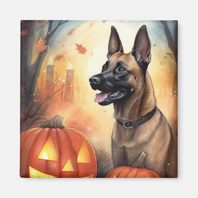 Imán Malinoi belga de Halloween con calabazas temerosas (Frente)