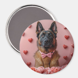 Imán Malinois belga con rosas - Día de San Valentín