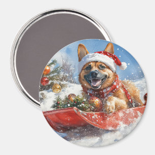 Imán Malinois Belga en Trineo Deja que Nieve Navidad