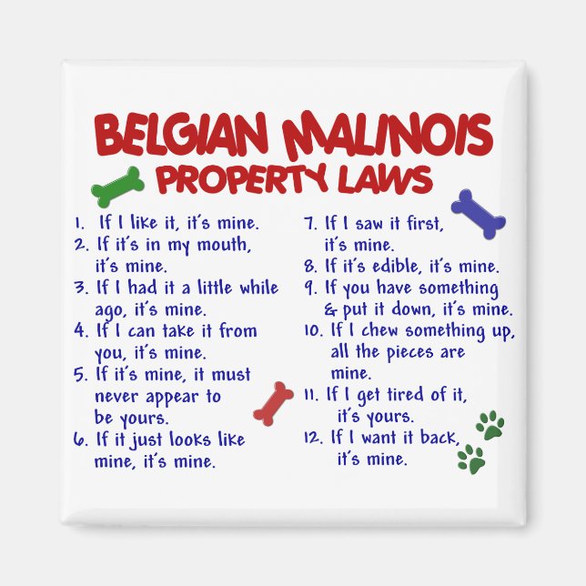 IMÁN MALINOIS BELGA PL2 (Frente)