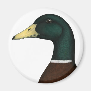 Imán Mallard Drake Head