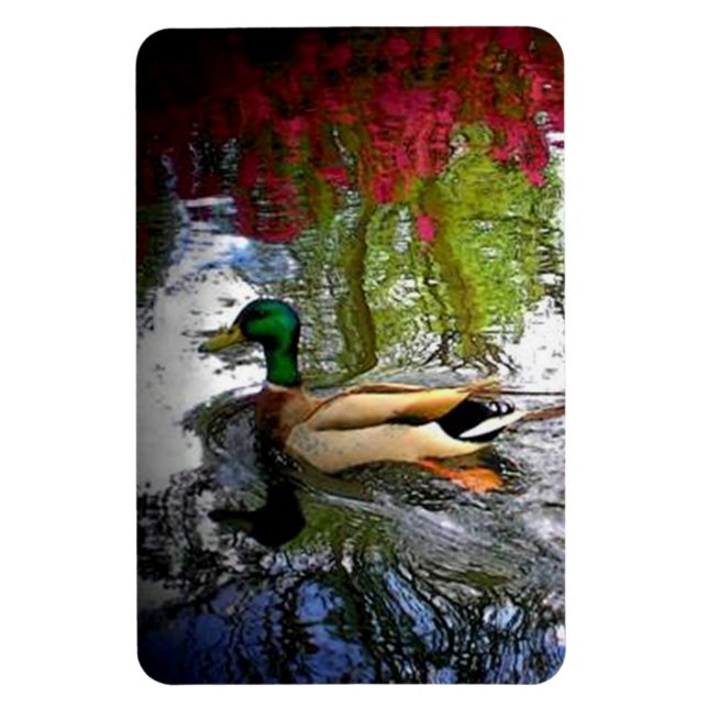 Imán Mallard Duck (Vertical)