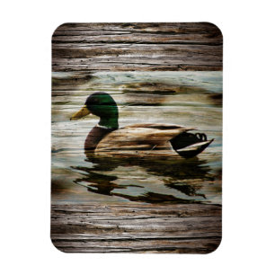 Imán Mallard Duck