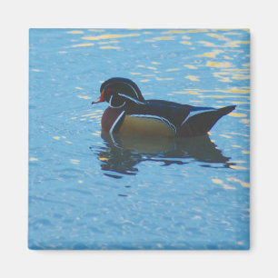 Imán Mallard Magnet