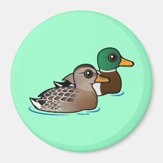 Imán Mallard Pair