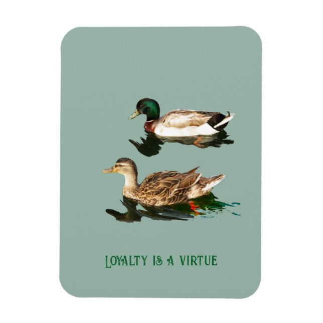 Imán Mallas de los Ducks (Vertical)