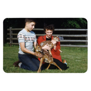 Imán Mallas, venado bebé