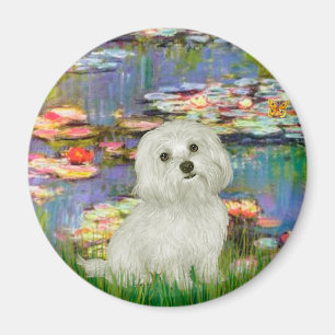 Imán Maltés 11 - Lilies 2